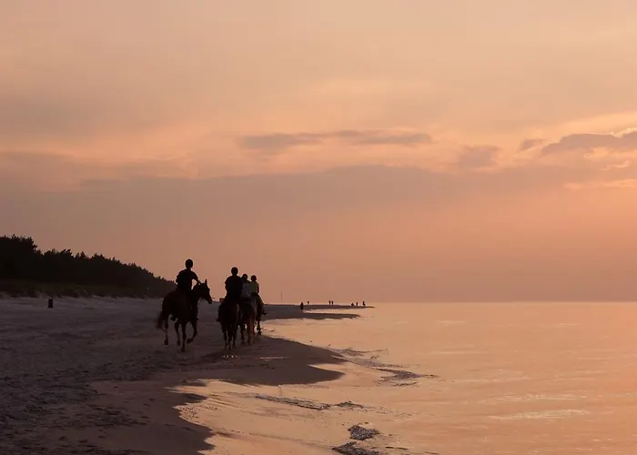 Osrodek Wypoczynku I Rekreacji Venus Resort *
